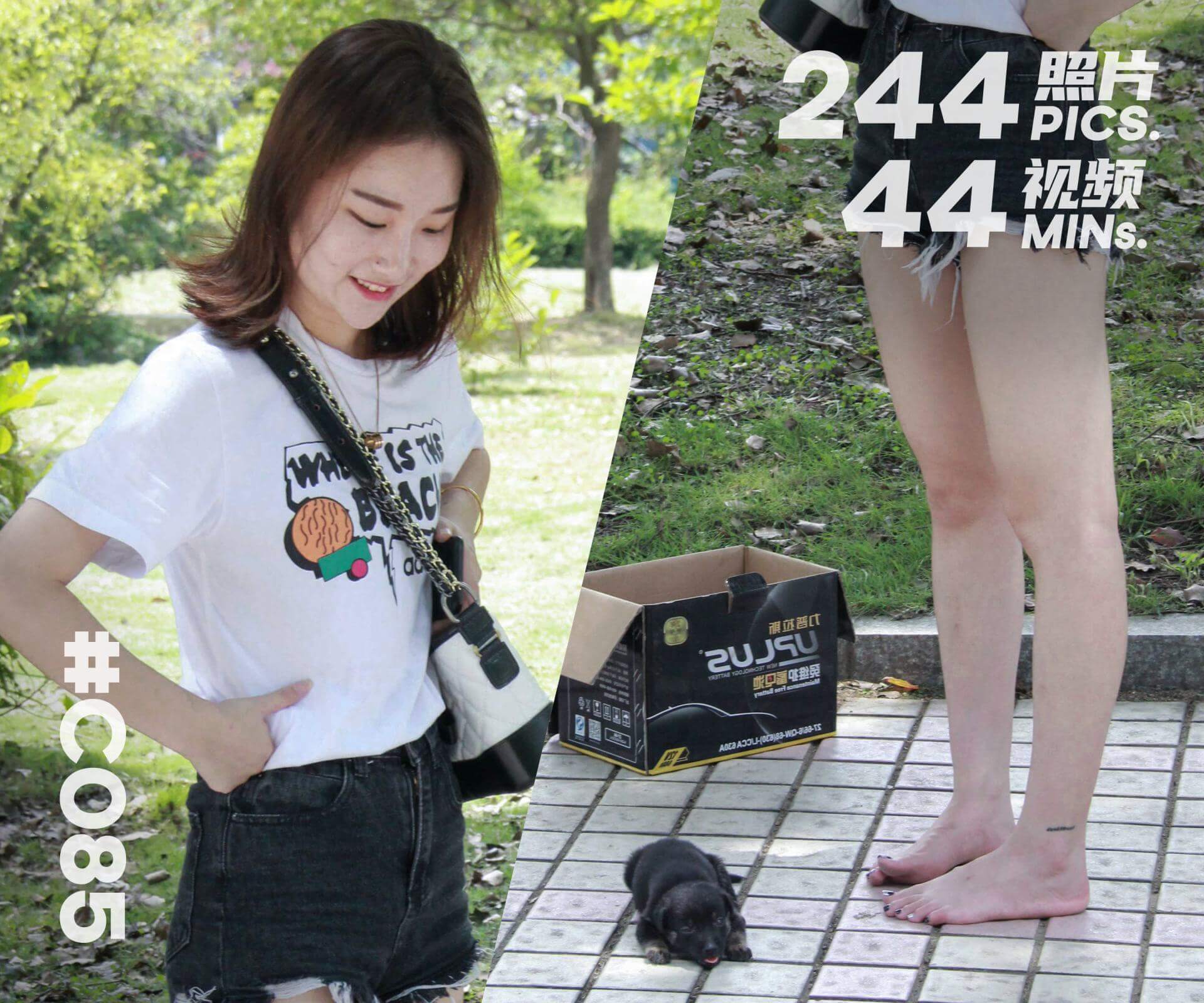 果果·逛街捡到小流浪狗