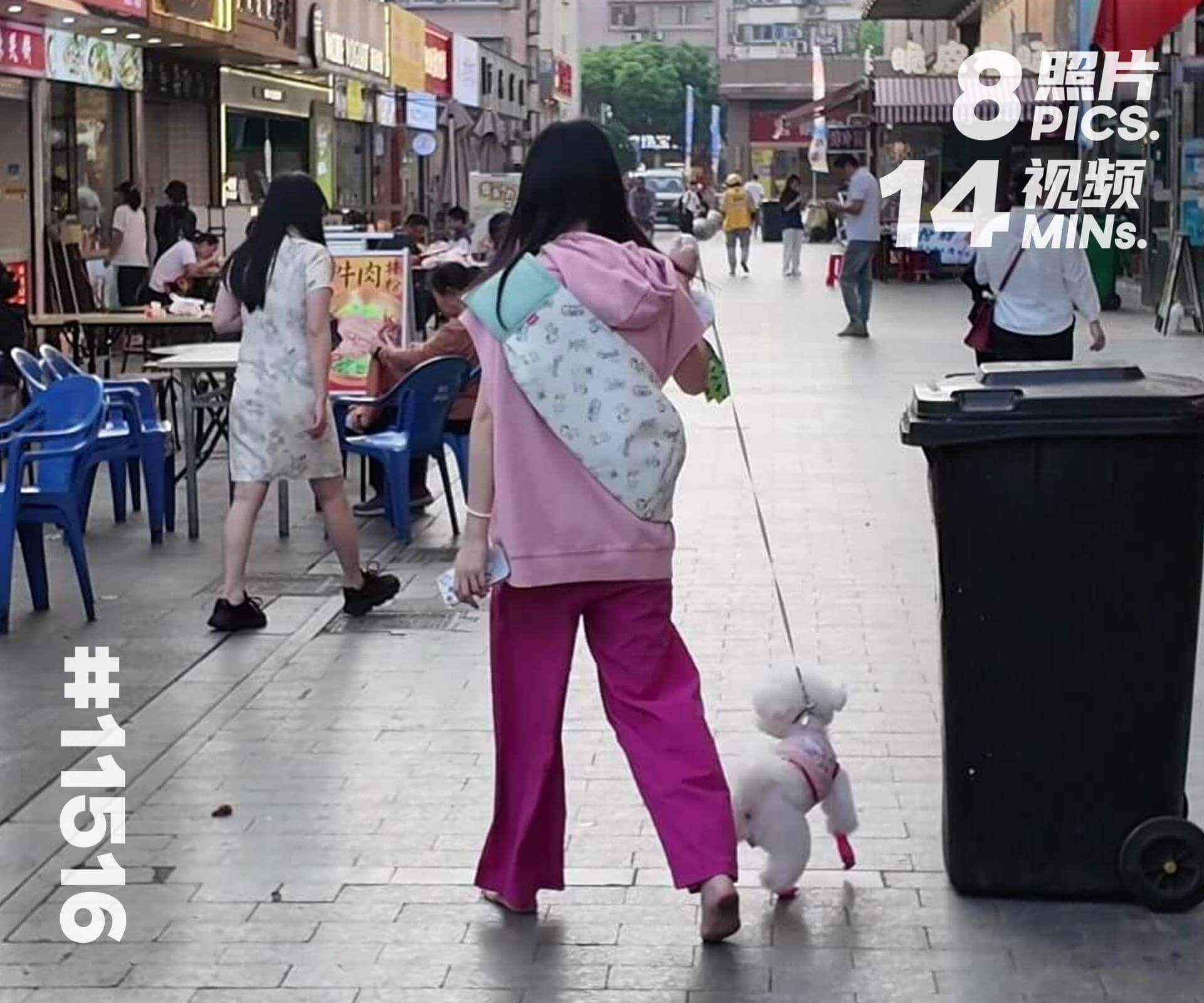 果果·带着爱犬逛街 (一)