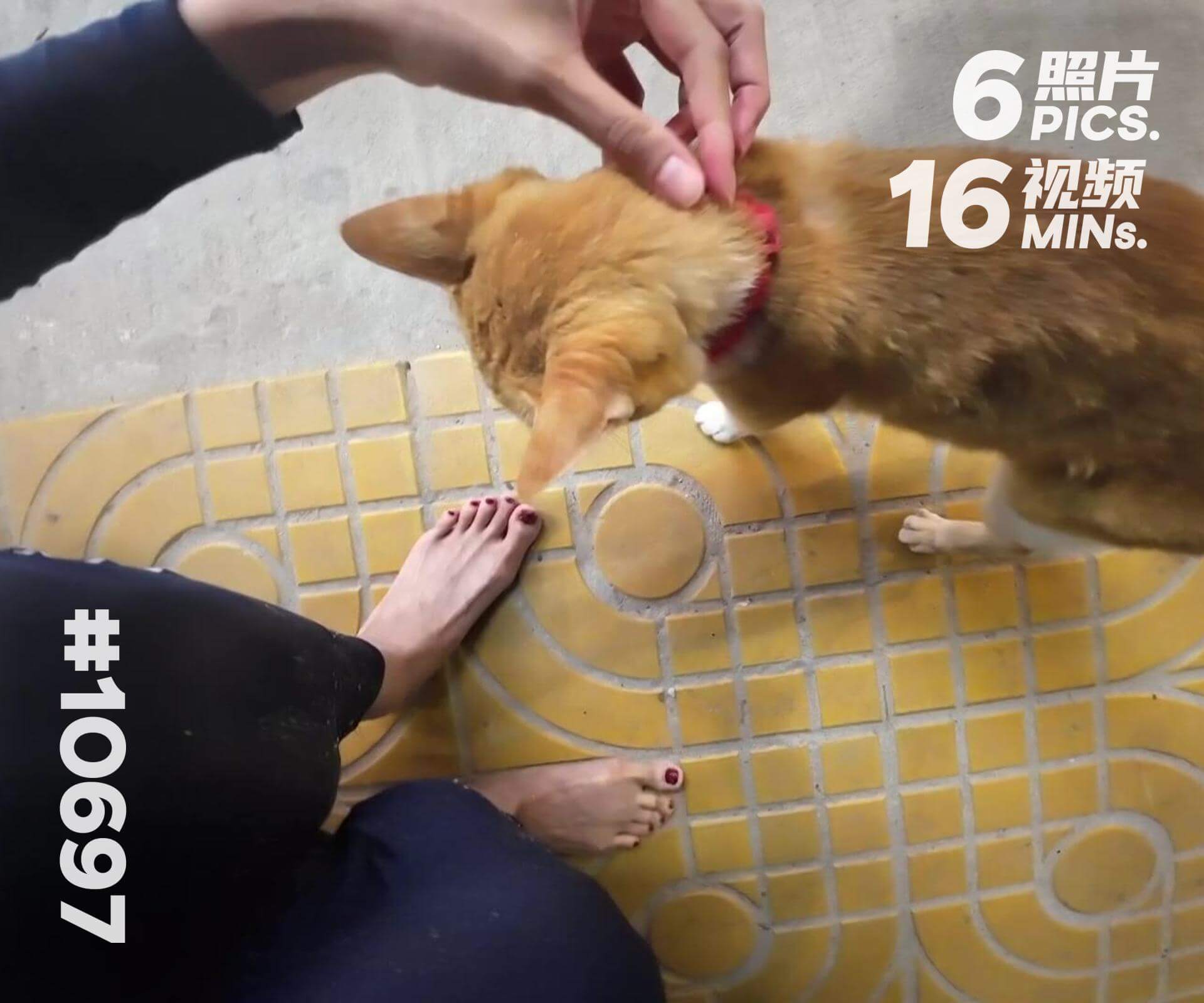 小颖·泰国旅游 (六)