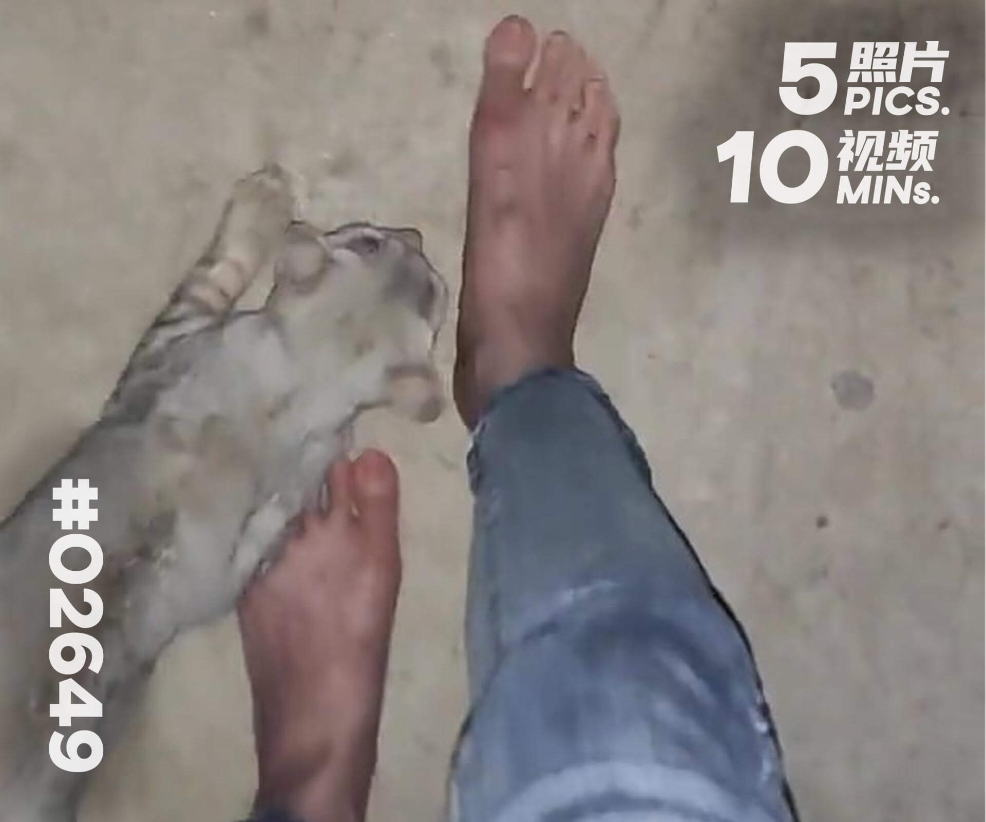 小颖·院子赤脚散步