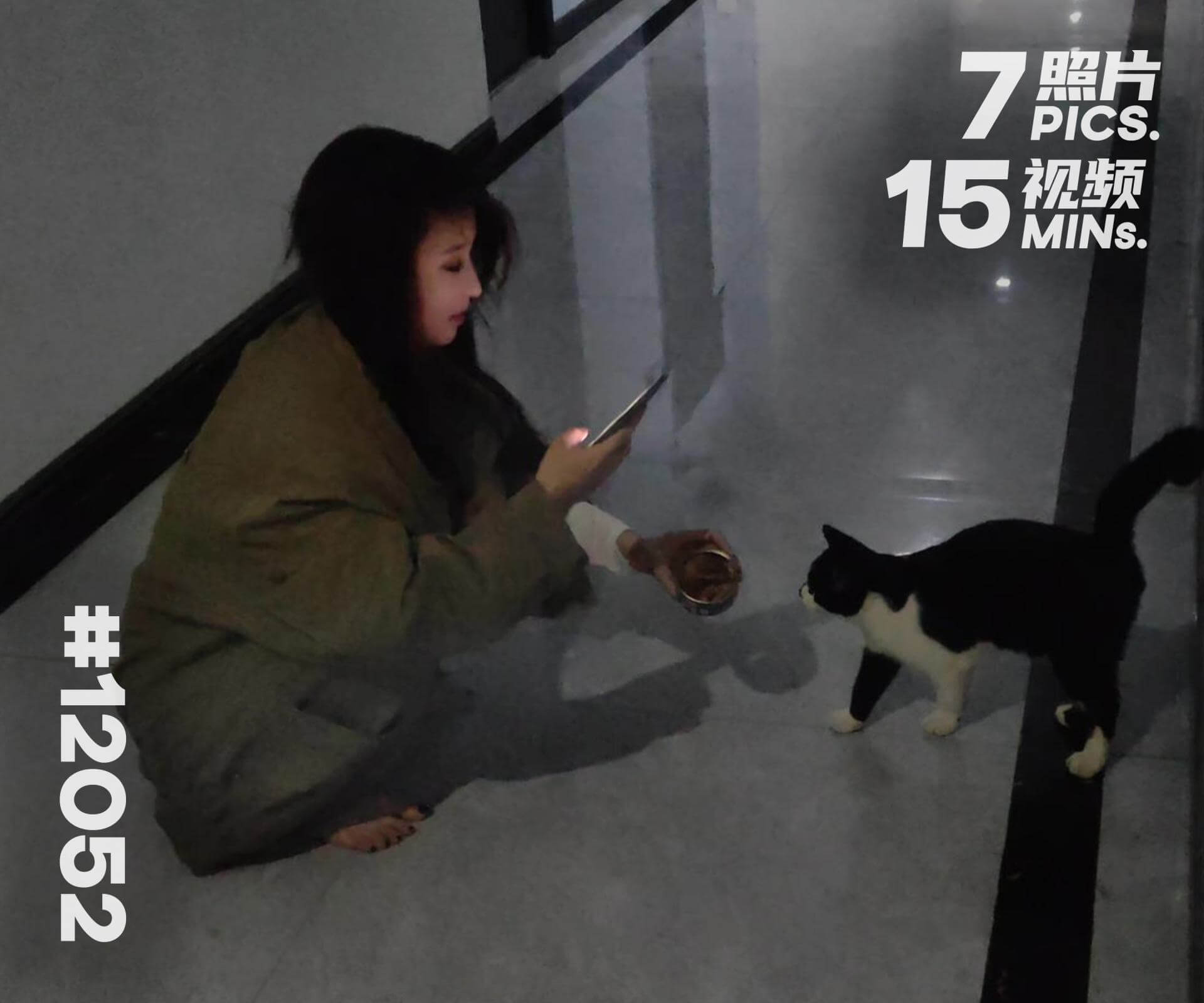 菲菲·赤脚散步遇到流浪猫