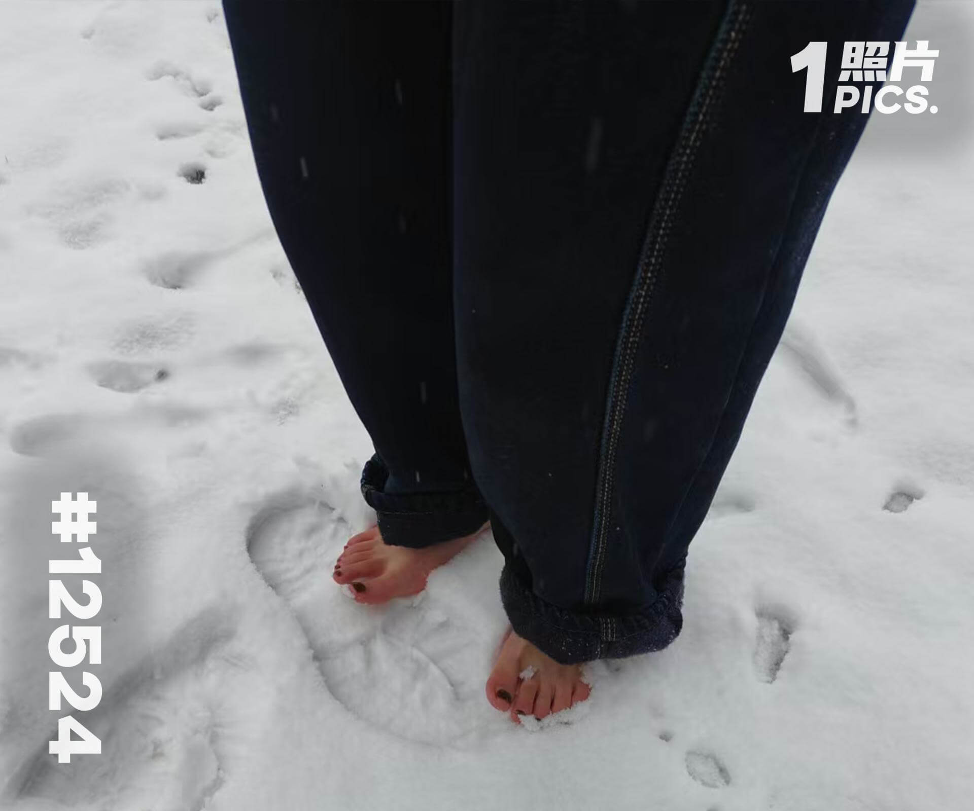 果果·《虞美人·雪中》