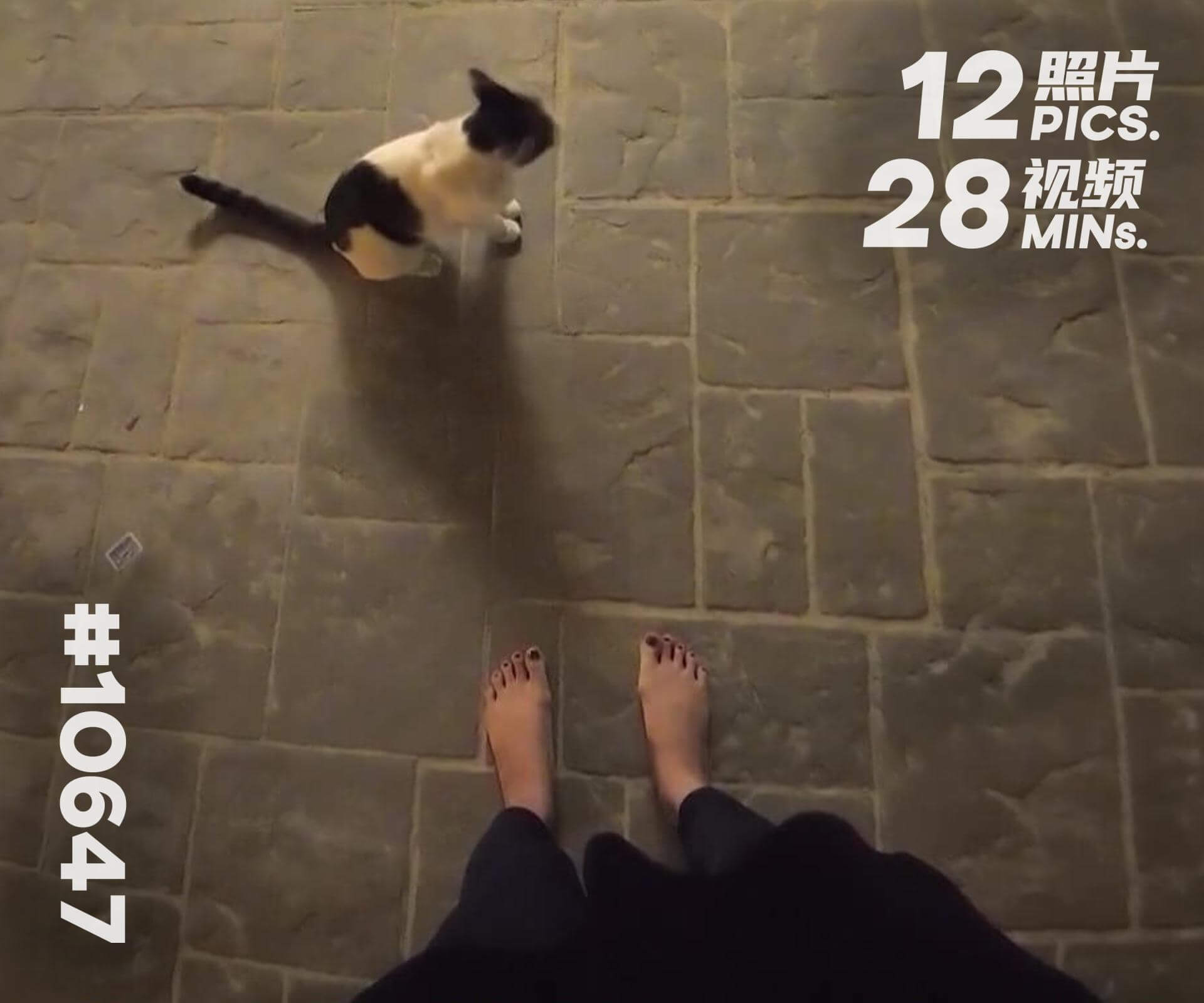 小颖·泰国旅游 (五)