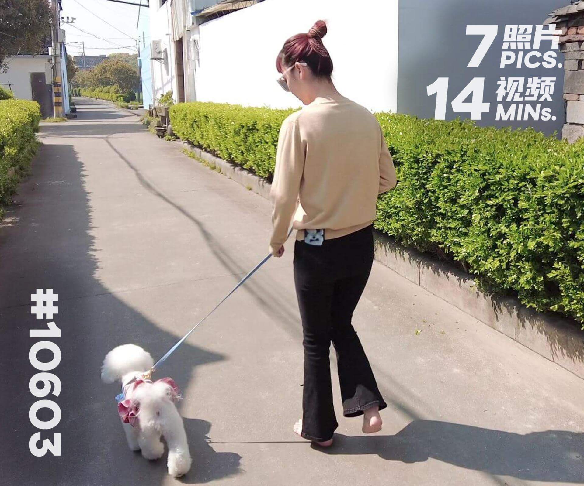 果果·赤脚遛狗 (一)