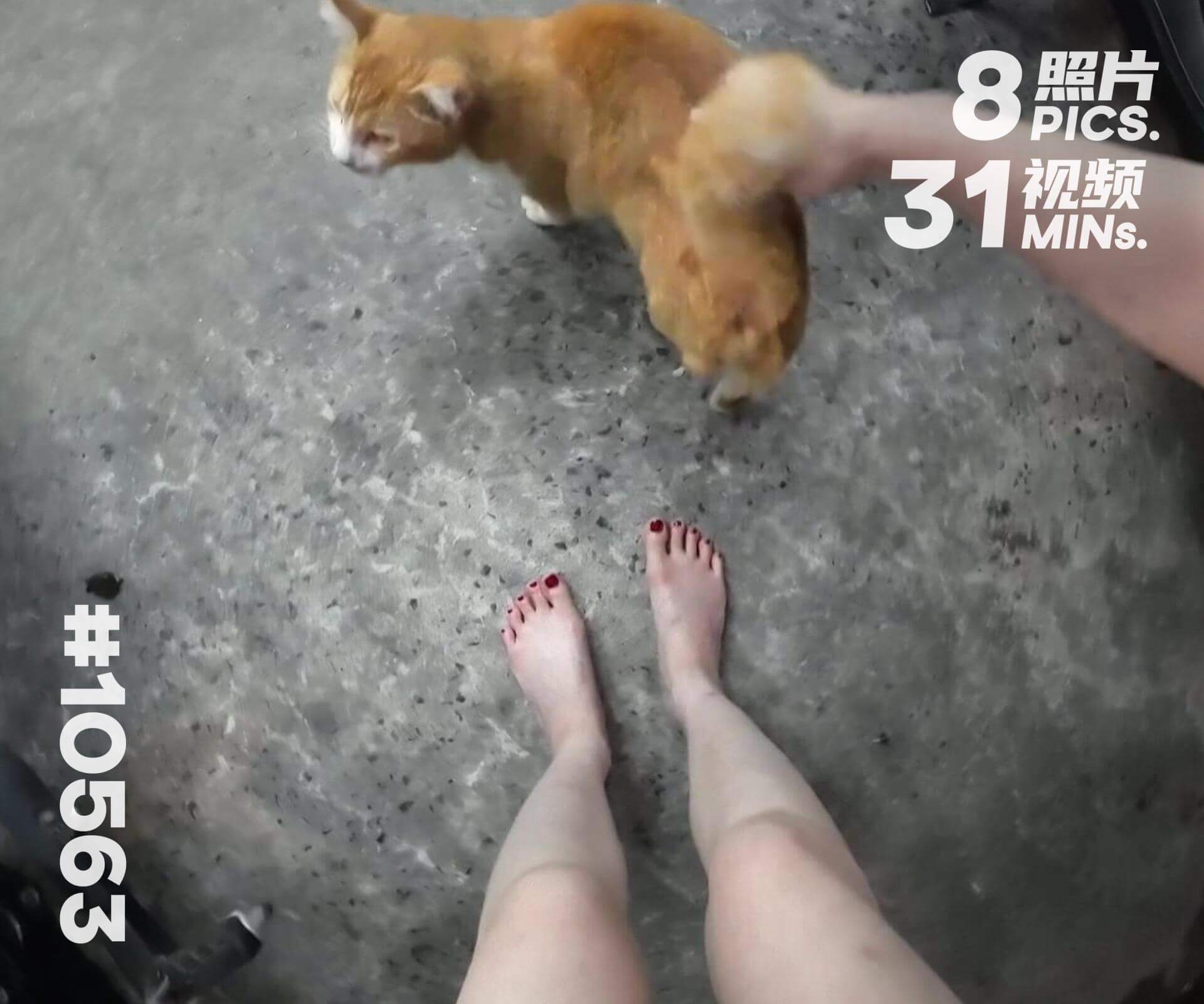 小颖·泰国旅游 (二)