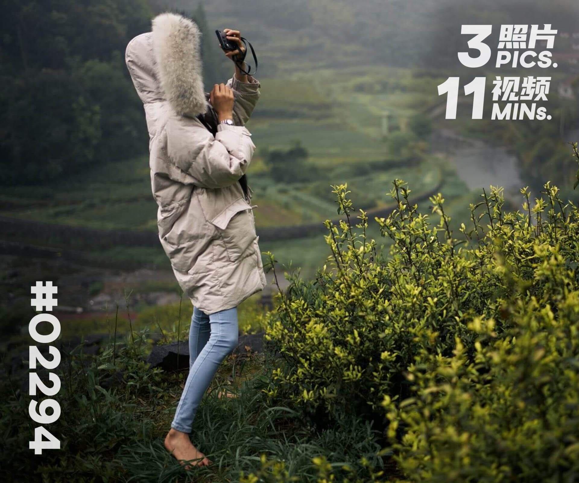 菲菲·上山游茶园 (一)