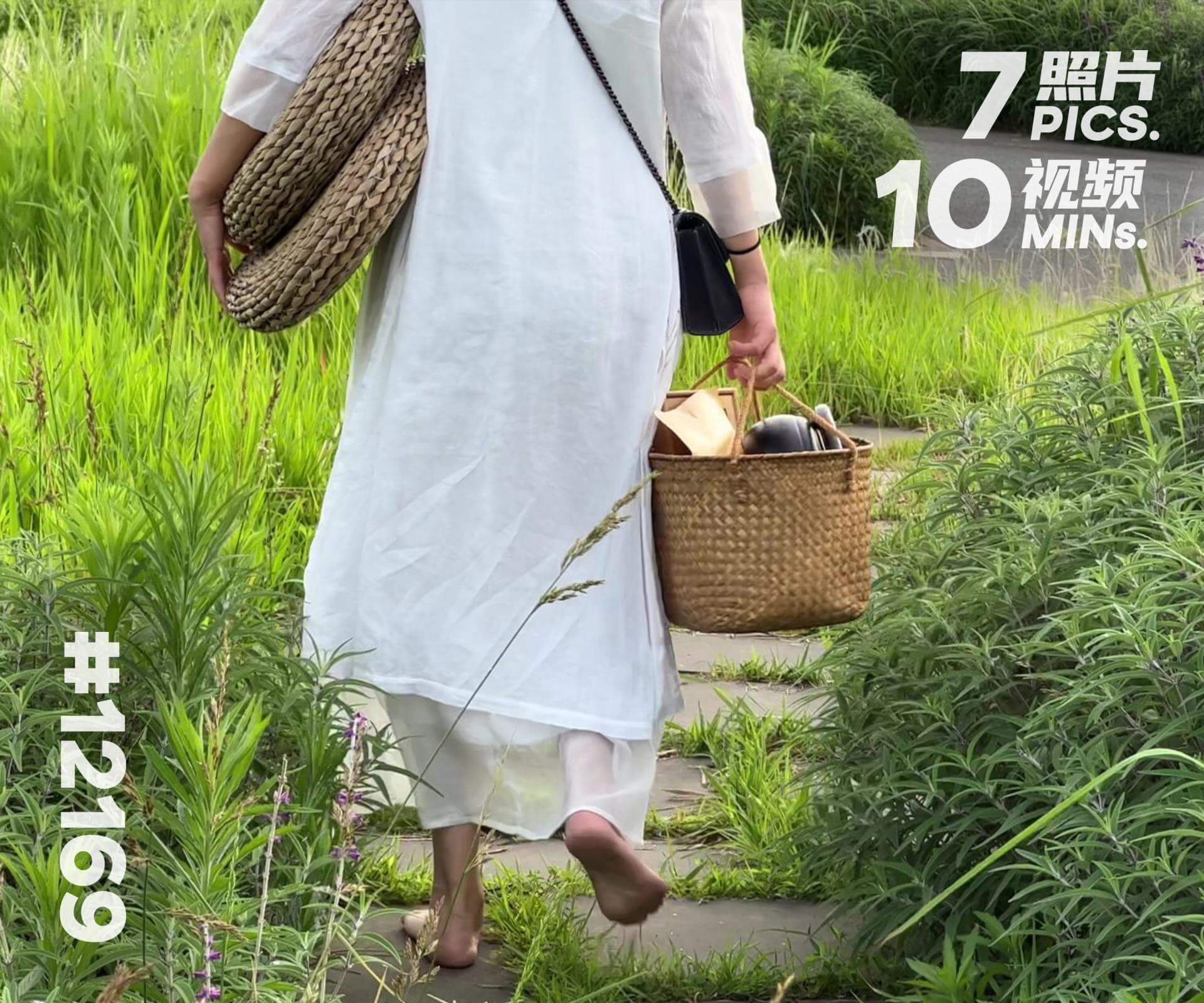 左左·野外烧茶 (四)